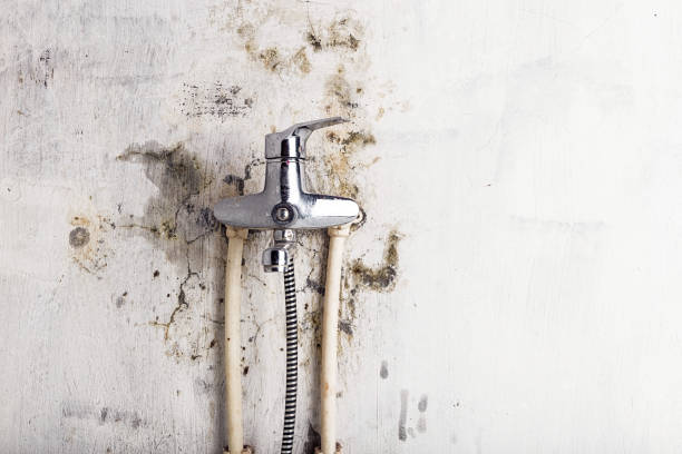 Best Mold Removal and Inspection  in Start, LA