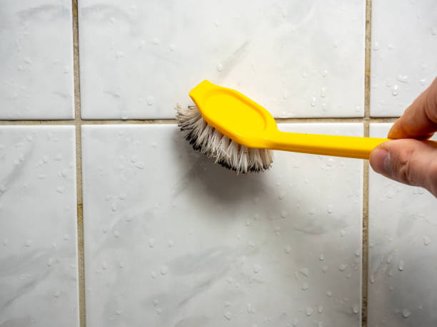 Best Mold Remediation  in Start, LA