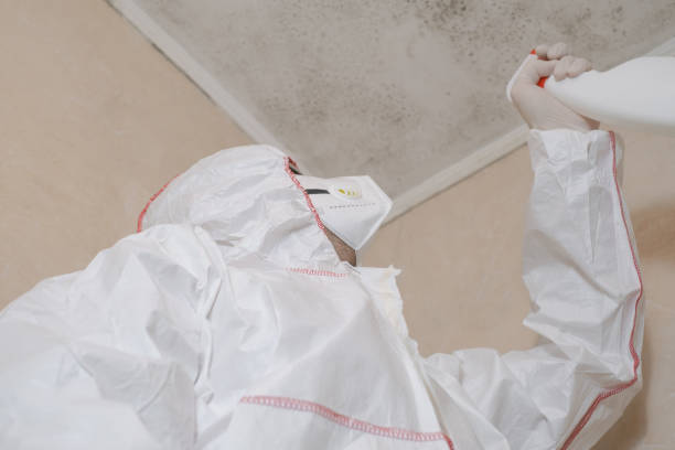 Mold Testing and Removal in Start, LA