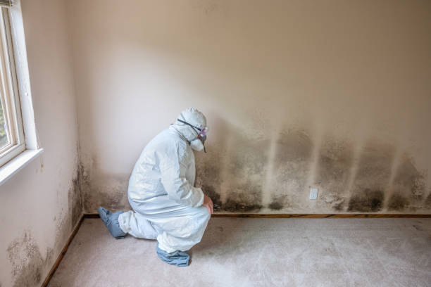 Best Residential Mold Removal  in Start, LA